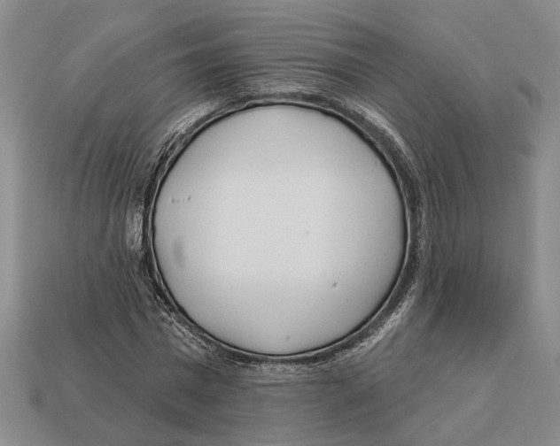 X0000112980777200909241219