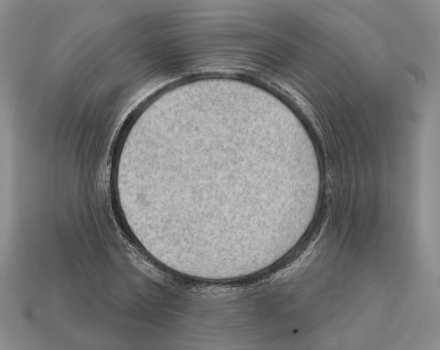 X0000112980779200909241219