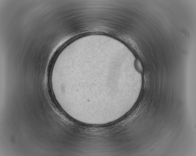 X0000112980780200909241219