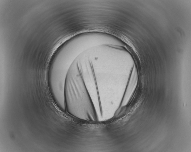 X0000112980781200909241219