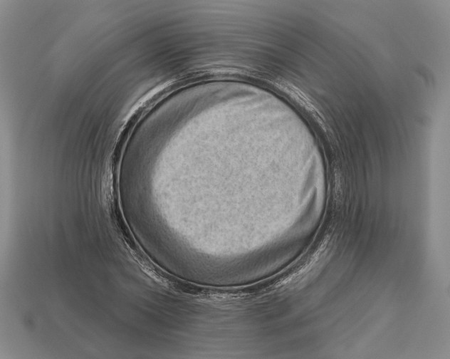 X0000112980782200909241219