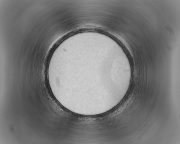 X0000112980783200909241219