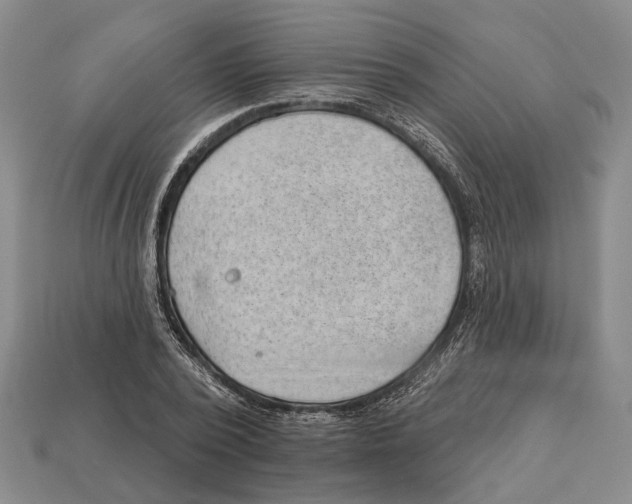 X0000112980784200909241219