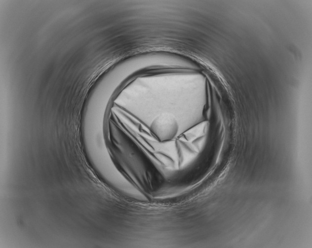 X0000112980785200909241219