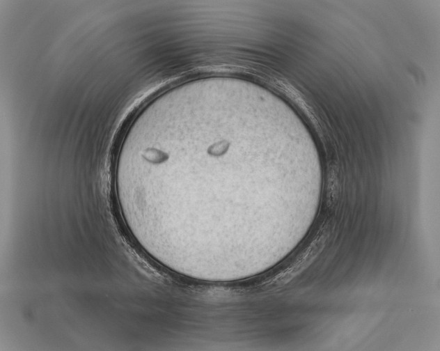 X0000112980787200909241219