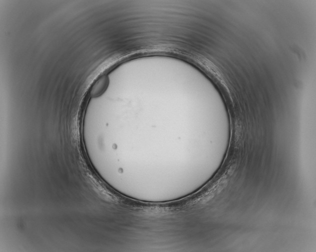X0000112980789200909241219