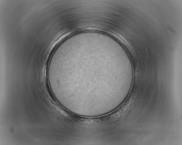 X0000112980790200909241219