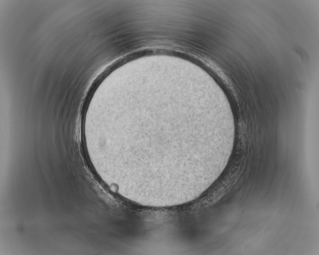 X0000112980791200909241219