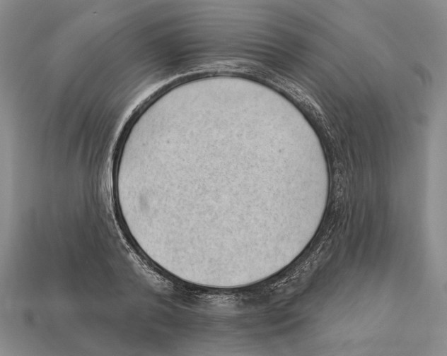 X0000112980792200909241219