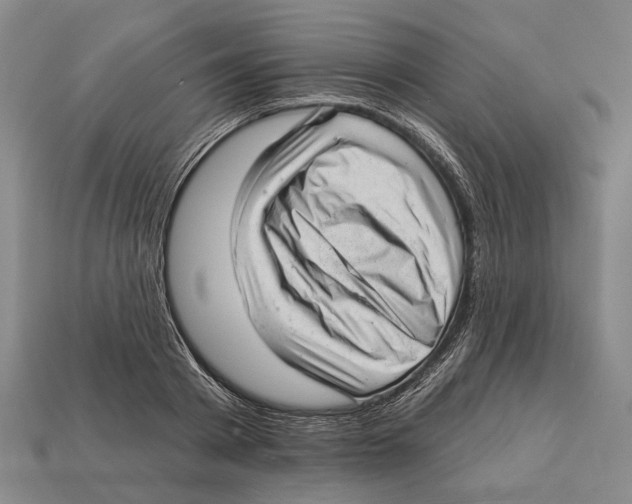 X0000112980793200909241219