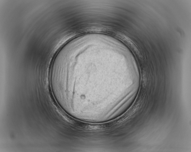 X0000112980794200909241219