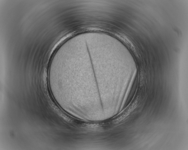 X0000112980798200909241219