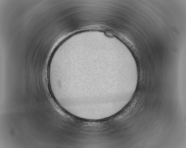 X0000112980800200909241219