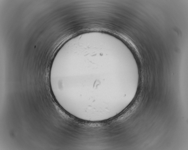 X0000112980801200909241219