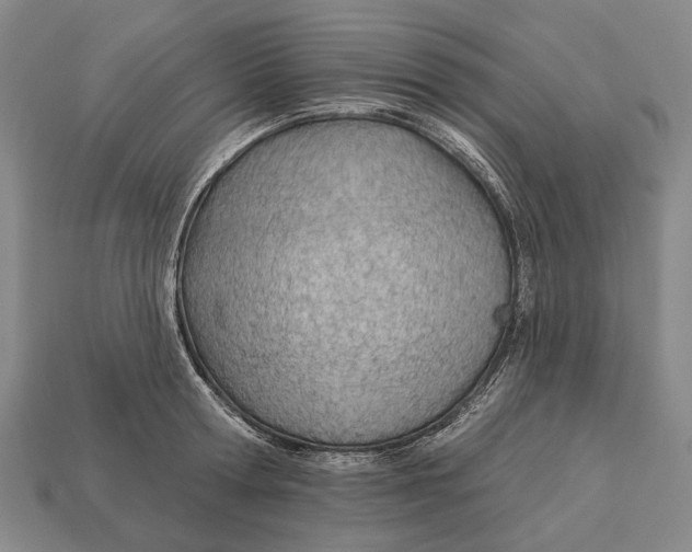 X0000112980802200909241219