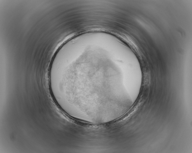 X0000112980806200909241219