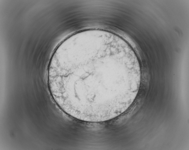 X0000112980807200909241219