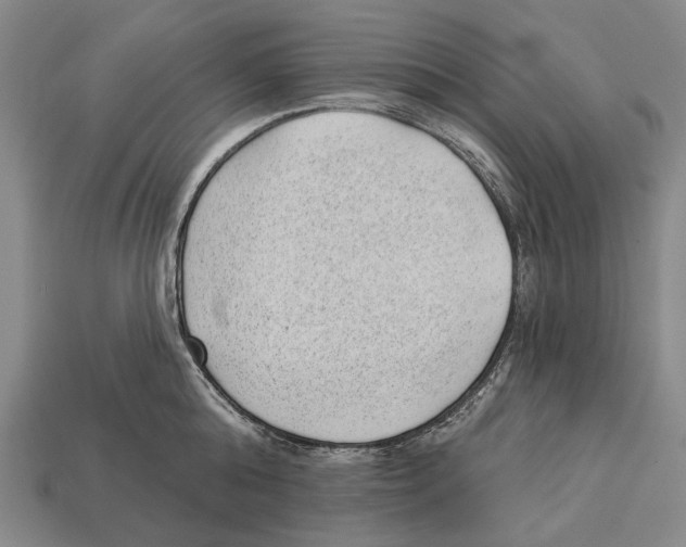 X0000112980808200909241219