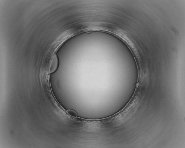 X0000112980809200909241219