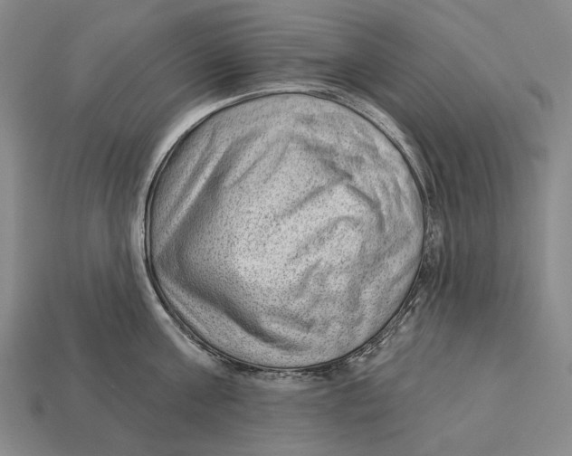 X0000112980811200909241219