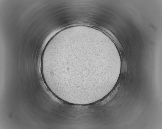 X0000112980812200909241219