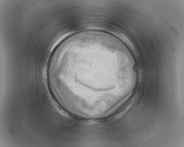 X0000112980814200909241219