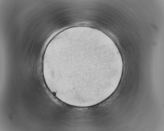 X0000112980816200909241219