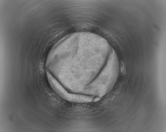 X0000112980819200909241218