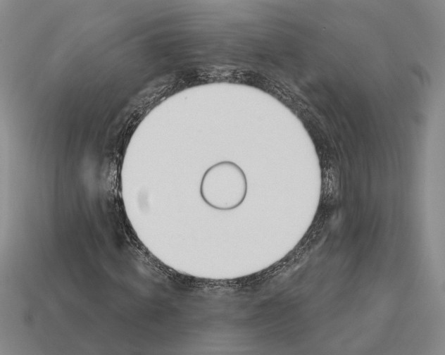 X0000112980820200909241218