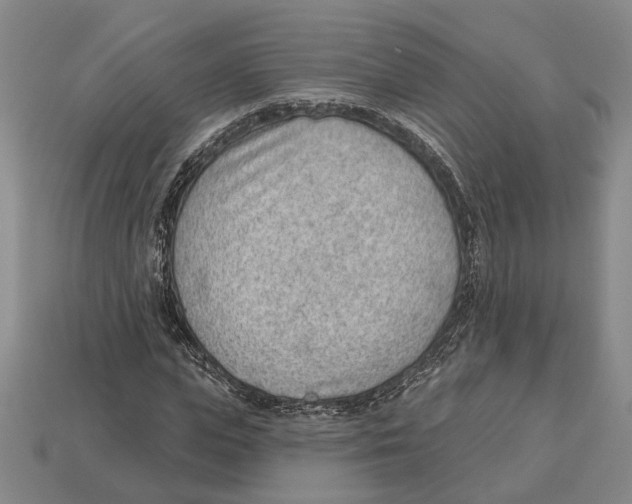 X0000112980823200909241218