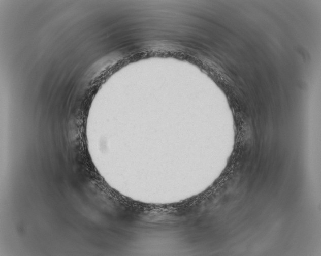 X0000112980824200909241218