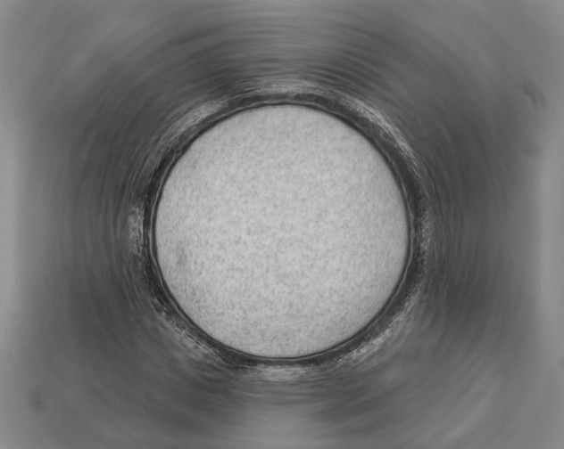 X0000112980825200909241218