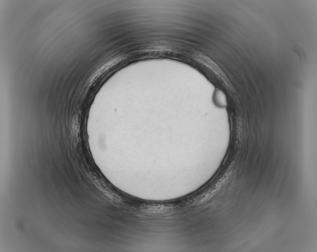 X0000112980826200909241218