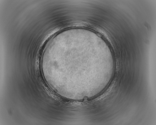 X0000112980827200909241218
