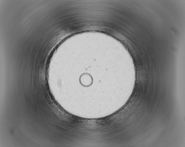 X0000112980828200909241218