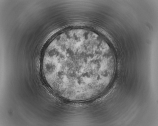X0000112980829200909241218