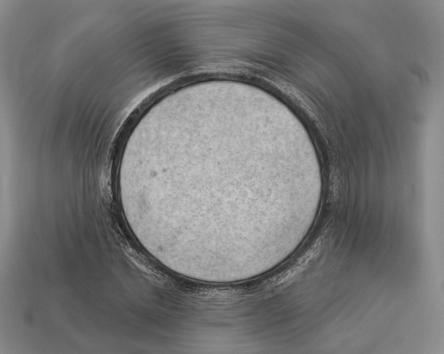 X0000112980830200909241218