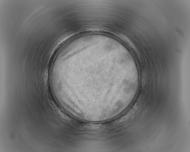 X0000112980831200909241218