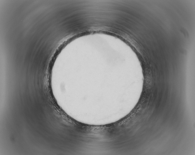 X0000112980832200909241218