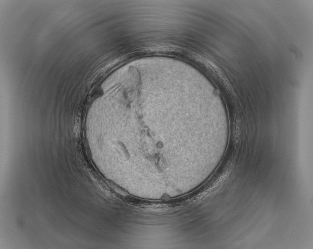 X0000112980833200909241218