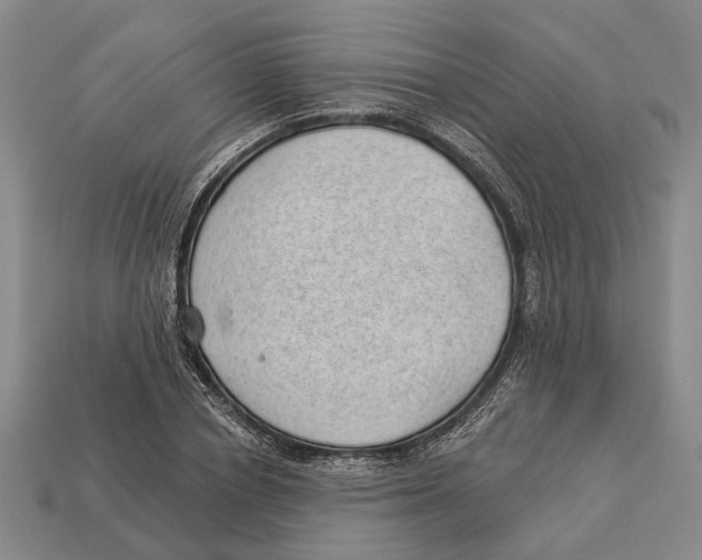 X0000112980834200909241218