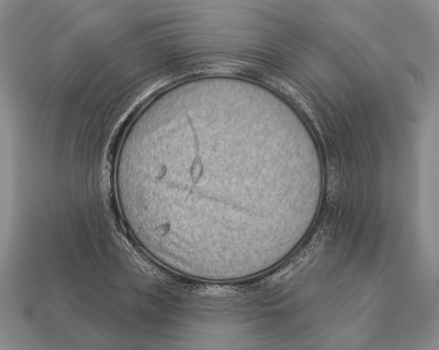 X0000112980835200909241218