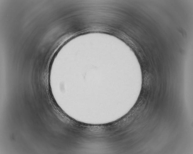 X0000112980836200909241218