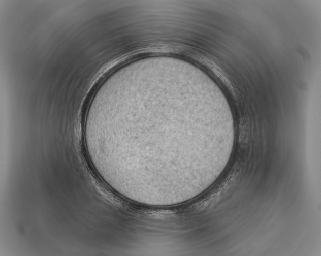 X0000112980837200909241218