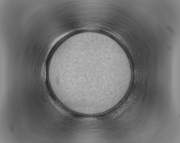 X0000112980838200909241218