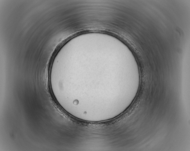 X0000112980840200909241218