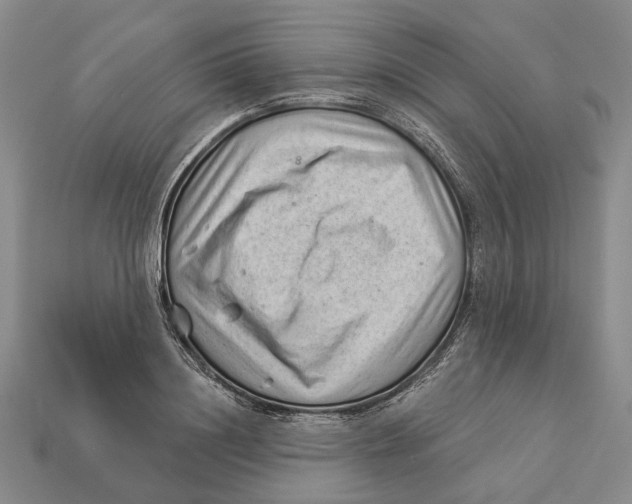 X0000112980844200909241218