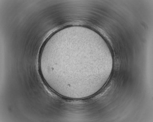 X0000112980845200909241218