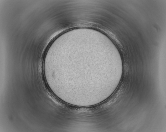 X0000112980846200909241218