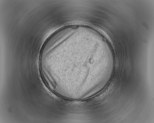 X0000112980847200909241218